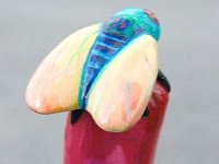 DSC 0170 0049