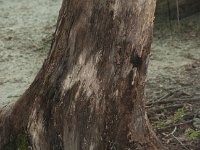 StarvedRock 0004 : Starved Rock, Illinois