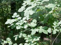 StarvedRock 0014 : Starved Rock, Illinois