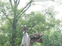 StarvedRock 0017 : Starved Rock, Illinois