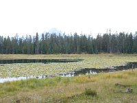 ColterBayHike 0003 : 2008 - Tetons & Yellowstone
