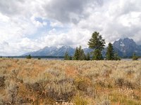 ColterBayHike 0006 : 2008 - Tetons & Yellowstone
