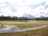 ColterBayHike 0015 : 2008 - Tetons & Yellowstone