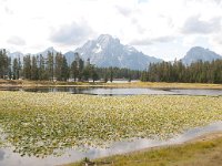 ColterBayHike 0016 : 2008 - Tetons & Yellowstone, PrintMe