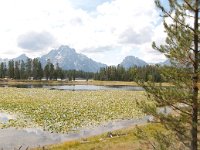 ColterBayHike 0018 : 2008 - Tetons & Yellowstone