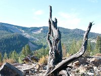 GrosVentreSlide 0003 : 2008 - Tetons & Yellowstone, PrintMe