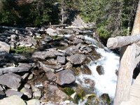 JennyLake 0004 : 2008 - Tetons & Yellowstone