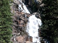 JennyLake 0005 : 2008 - Tetons & Yellowstone