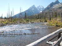 JennyLake 0027 : 2008 - Tetons & Yellowstone