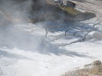 ArtistPaintPots 0011 : 2008 - Tetons & Yellowstone