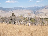 BeaverPondsHike 0003 : 2008 - Tetons & Yellowstone