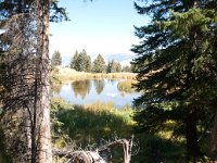 BeaverPondsHike 0004 : 2008 - Tetons & Yellowstone
