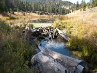 BeaverPondsHike 0007 : 2008 - Tetons & Yellowstone