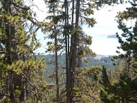 ElephantBack 0001 : 2008 - Tetons & Yellowstone
