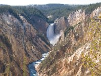 GrandCanyonArea 0008 : 2008 - Tetons & Yellowstone