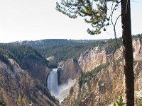 GrandCanyonArea 0011 : 2008 - Tetons & Yellowstone