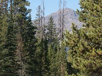 LamarValley 0003 : 2008 - Tetons & Yellowstone, PrintMe