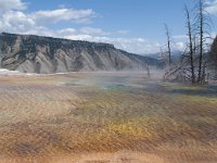 MammothHotSprings 0005 : 2008 - Tetons & Yellowstone, PrintMe