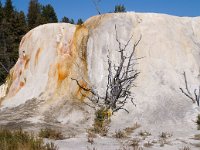MammothHotSprings 0007 : 2008 - Tetons & Yellowstone