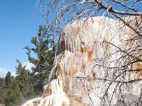 MammothHotSprings 0008 : 2008 - Tetons & Yellowstone
