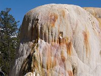 MammothHotSprings 0009 : 2008 - Tetons & Yellowstone
