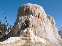 MammothHotSprings 0012 : 2008 - Tetons & Yellowstone, PrintMe