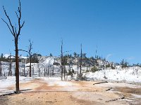 MammothHotSprings 0015 : 2008 - Tetons & Yellowstone