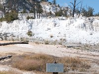 MammothHotSprings 0016 : 2008 - Tetons & Yellowstone, PrintMe