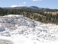 MammothHotSprings 0021 : 2008 - Tetons & Yellowstone