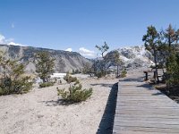 MammothHotSprings 0022 : 2008 - Tetons & Yellowstone