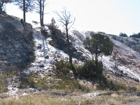 MammothHotSprings 0024 : 2008 - Tetons & Yellowstone