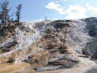 MammothHotSprings 0026 : 2008 - Tetons & Yellowstone