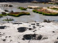 MudVolcanoDragonMouth 0007 : 2008 - Tetons & Yellowstone, PrintMe