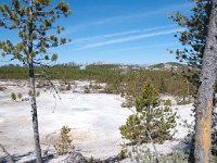 NorrisGeyserBasin 0006 : 2008 - Tetons & Yellowstone