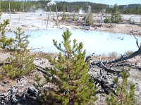 NorrisGeyserBasin 0008 : 2008 - Tetons & Yellowstone