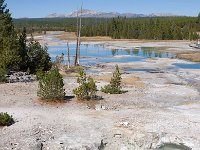 NorrisGeyserBasin 0010 : 2008 - Tetons & Yellowstone