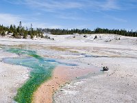 NorrisGeyserBasin 0013 : 2008 - Tetons & Yellowstone, PrintMe
