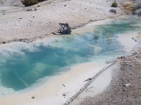 NorrisGeyserBasin 0015 : 2008 - Tetons & Yellowstone