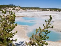 NorrisGeyserBasin 0016 : 2008 - Tetons & Yellowstone, PrintMe