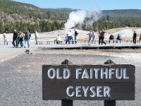OldFaithful 0021 : 2008 - Tetons & Yellowstone, PrintMe