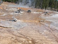 OldFaithful 0028 : 2008 - Tetons & Yellowstone