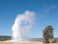 OldFaithful 0049 : 2008 - Tetons & Yellowstone
