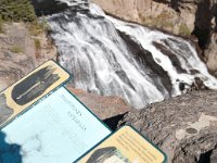 OldFaithful 0076 : 2008 - Tetons & Yellowstone