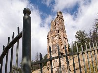 PetrifiedTree 0001 : 2008 - Tetons & Yellowstone, PrintMe