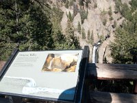 TowerFalls 0001 : 2008 - Tetons & Yellowstone