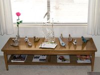 BirgitCierAppartment-003 : Ceir Family, Pheonix Arizona