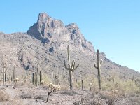 2009 Phoenix-3 : Pheonix, AZ