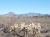 2009 Phoenix-30 : Pheonix, AZ