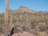 2009 Phoenix-34 : Pheonix, AZ