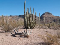 2009 Phoenix-37 : Pheonix, AZ
